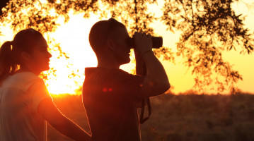 Viaggio di nozze in Sudafrica