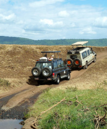 safari