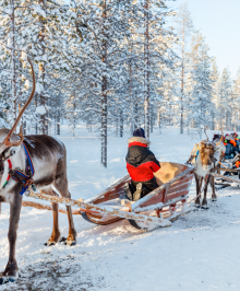 finlandia