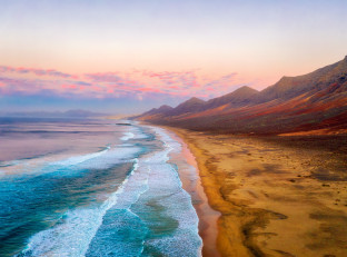 Canarie