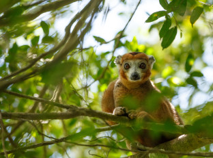 viaggio in madagascar