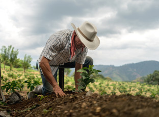 Viaggi in Colombia