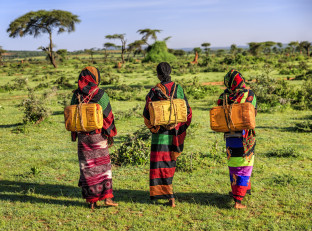 Viaggi in Etiopia