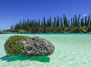 Viaggi in Nuova Caledonia 