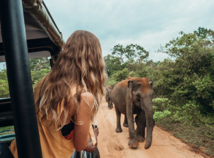 Viaggi in Sri Lanka