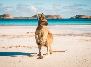Australia