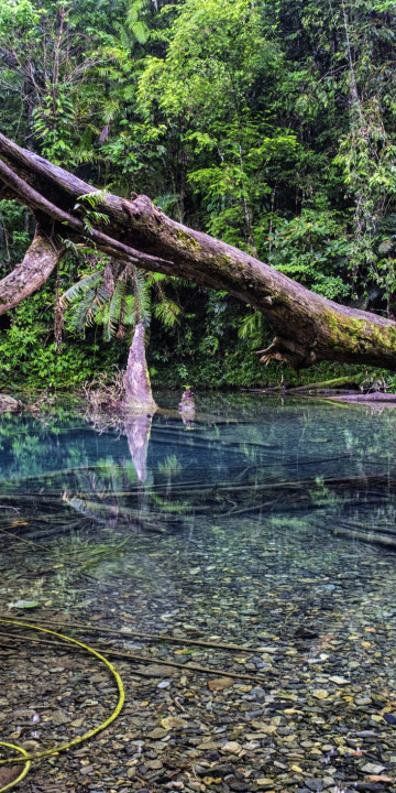 Daintree National Park.