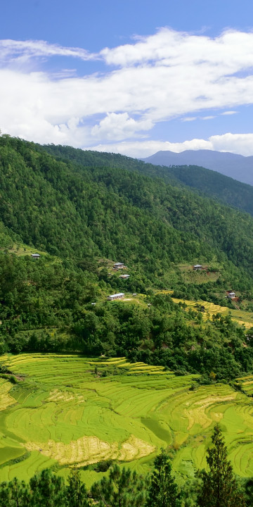 Punakha