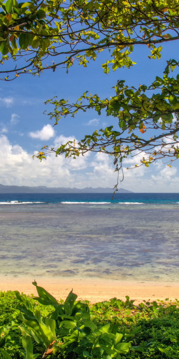 savusavu Fiji