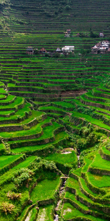 Banaue