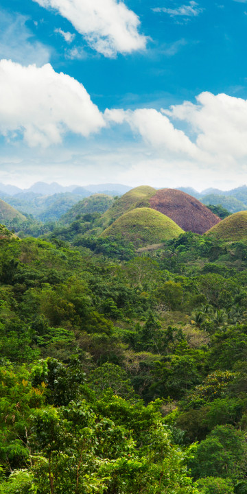 Bohol