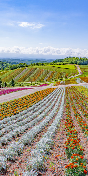 Hokkaido