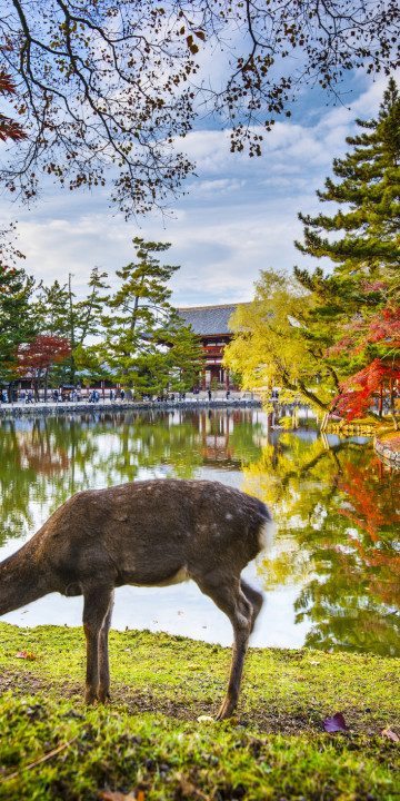 Nara