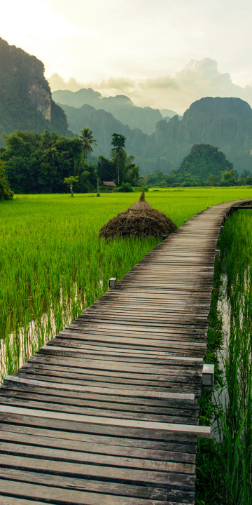 Van Vieng