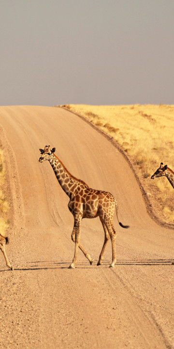 Etosha National Park