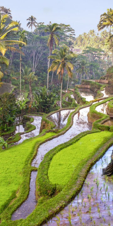 Ubud