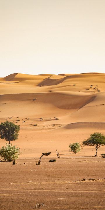 oman deserto