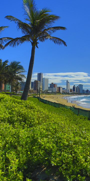 Durban