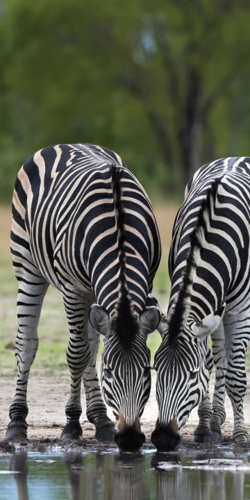 Hwange National Park