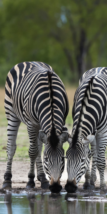 Hwange National Park