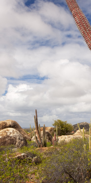 Arikok Parco Nazionale Aruba