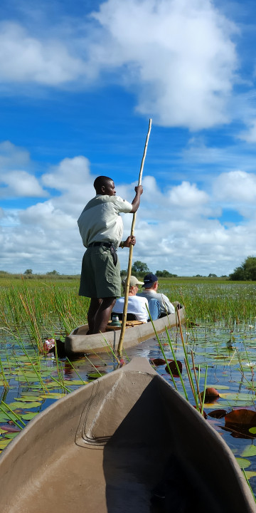 viaggio in botswana