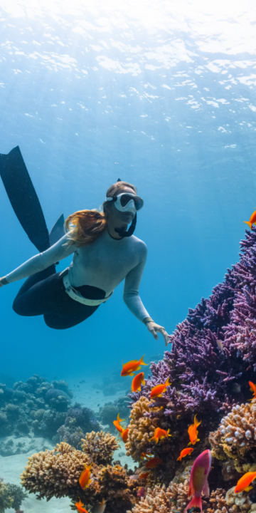 red sea