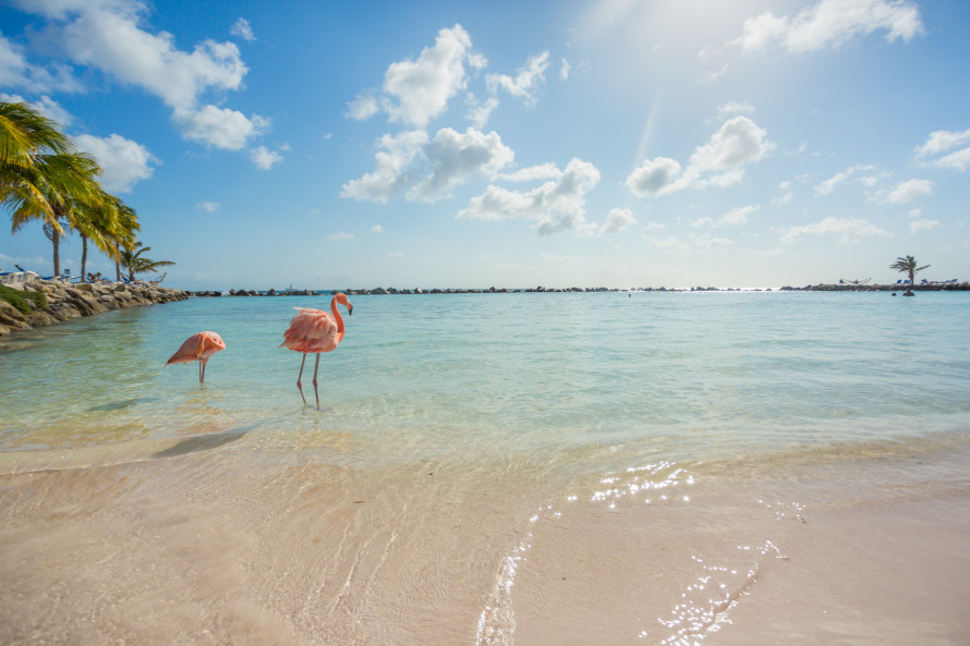 caraibi spiaggia ad aruba