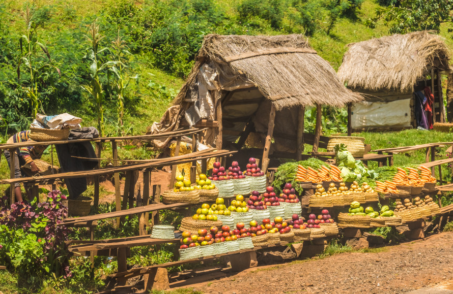 Madagascar frutta