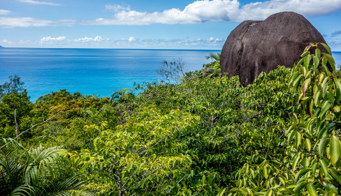 Viaggio alle Seychelles: le migliori esperienze da fare