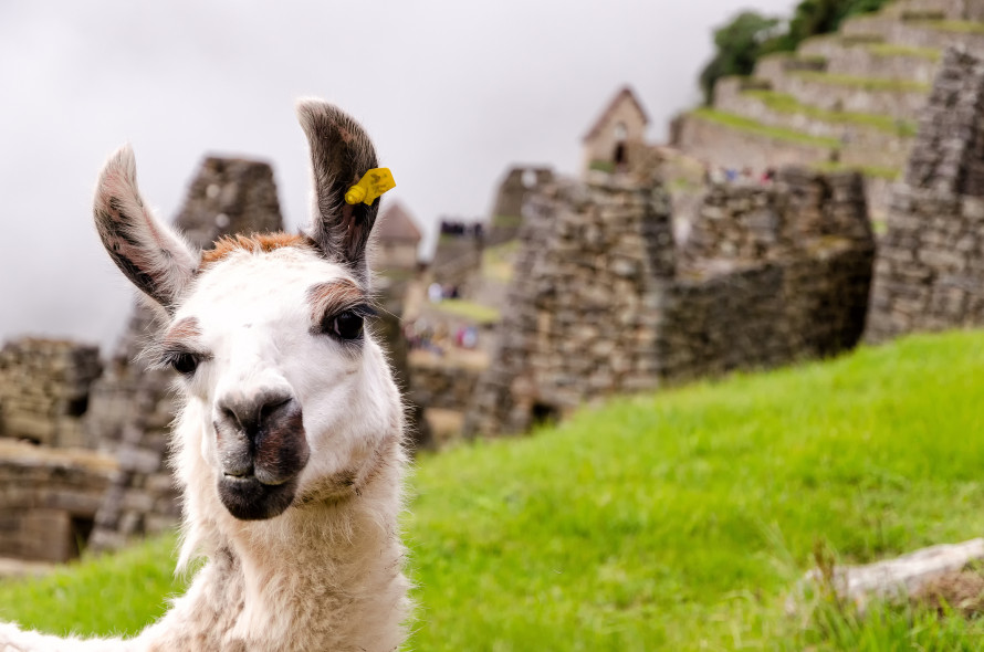 perù machu picchu