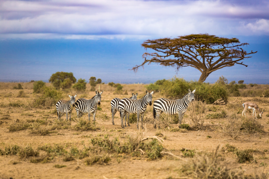 Botswana cosa vedere