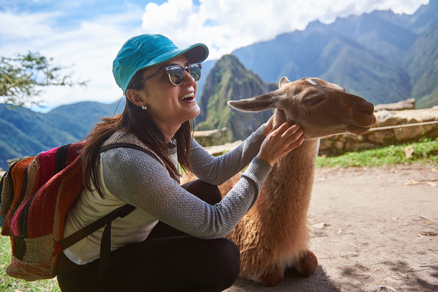 Macchupicchu: vedere i lama