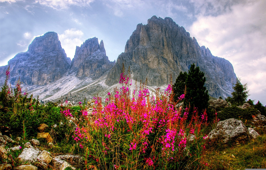 Dolomiti