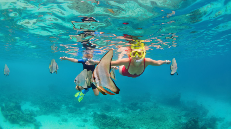 Reef maldive