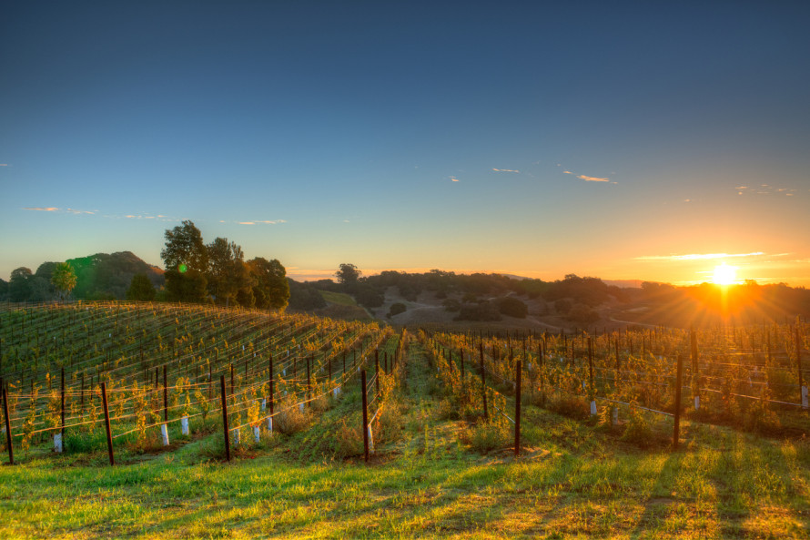 valle dei vini