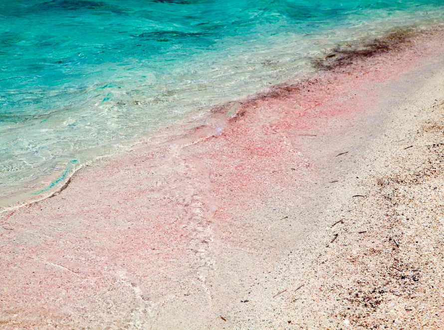 Pink beach