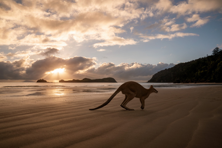 Kangoroo Island