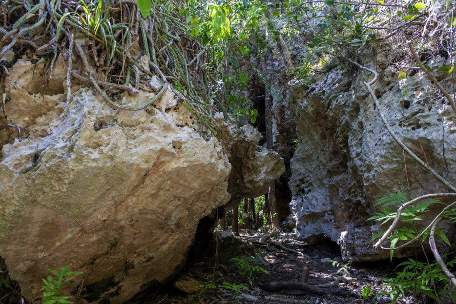 cueva ambrosio