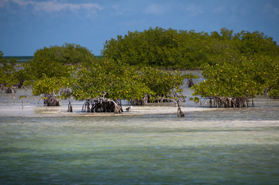 Cayo Blanco