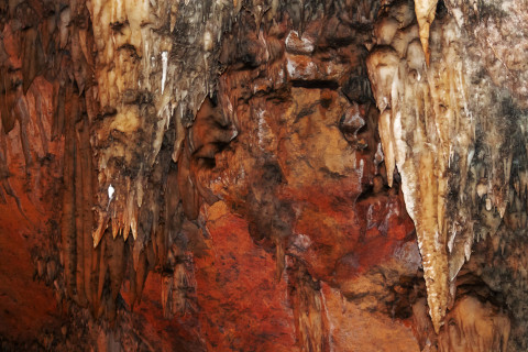 Cuevas Bellamar