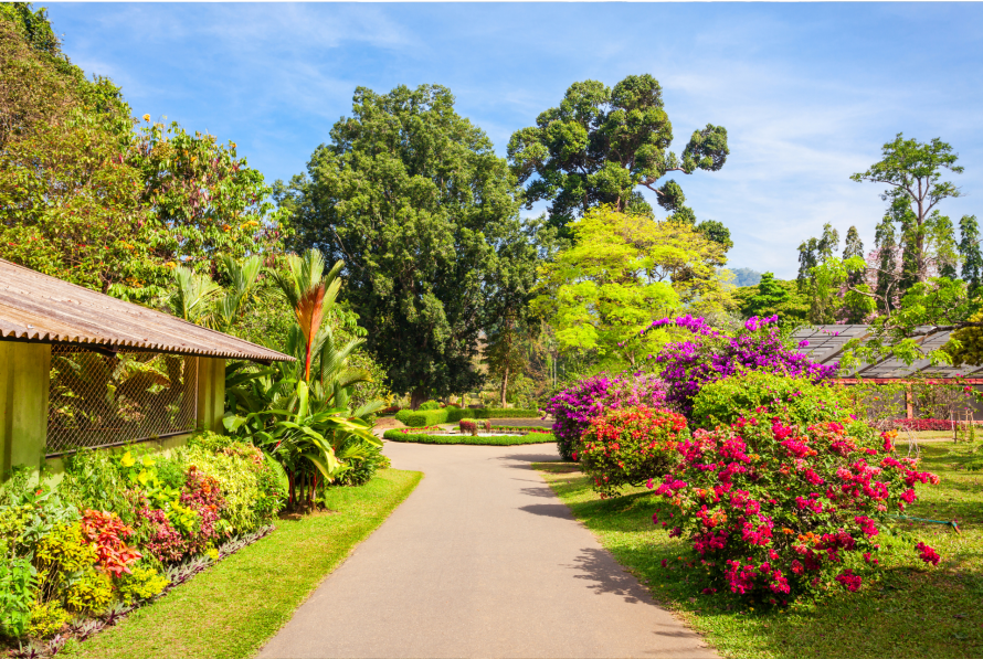 Royal Botanic Garden