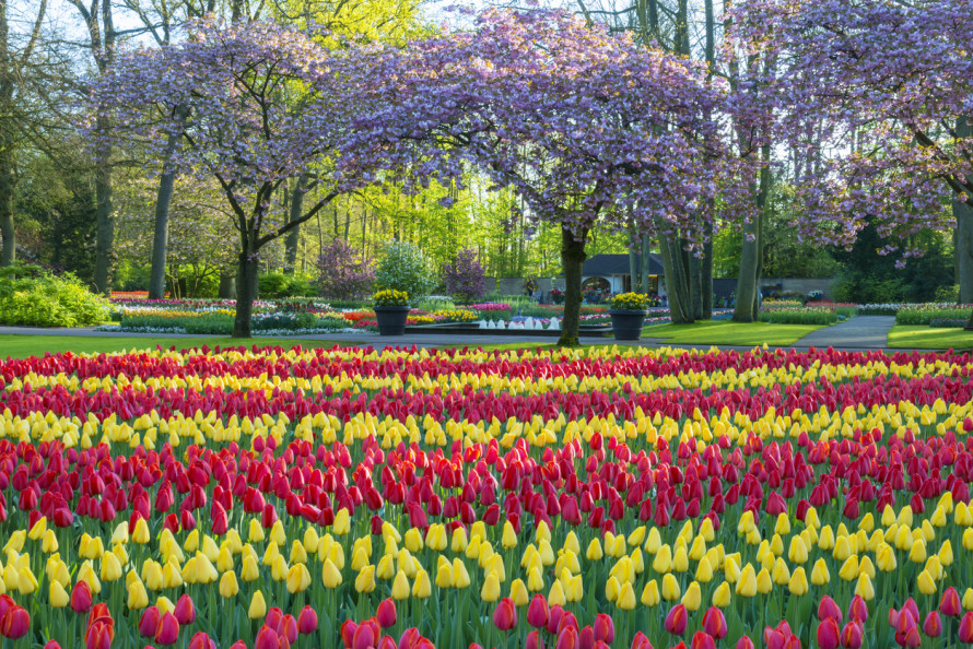 Giardini Keukenhof