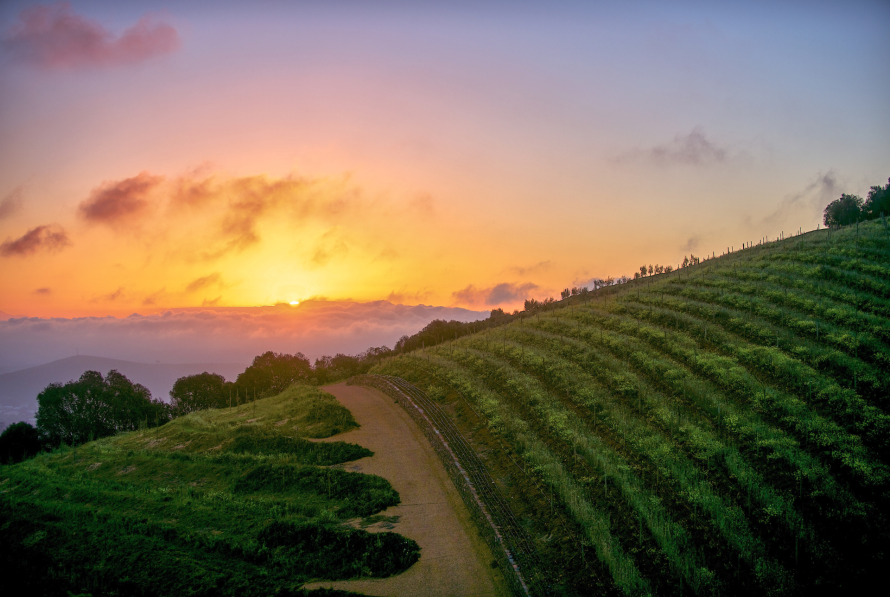 Winelands