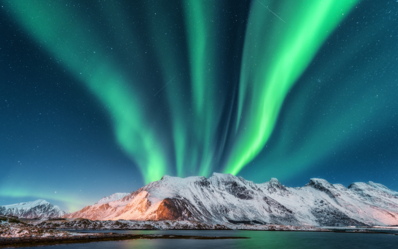 Norvegia