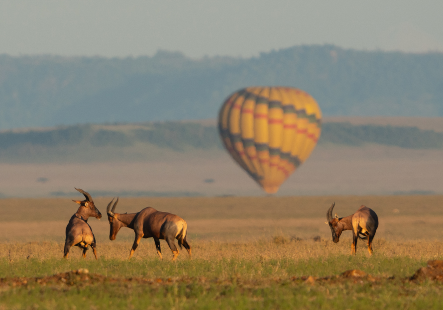 Mongolfiera Kenya